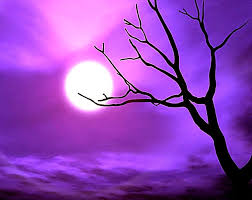 Looking for the best wallpapers? All About Hd Wallpaper Cool Purple Wallpaper Pc