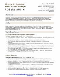 director of customer service resume