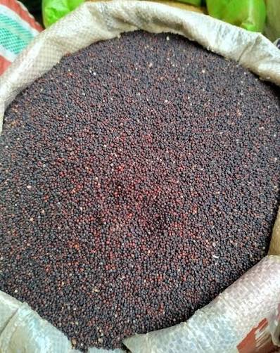 Finger Millet Black