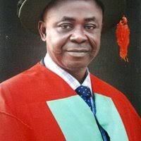 PDF) IMPACT ASSESSMENT OF INTERNAL AUDIT ON THE PERFORMANCE OF PUBLIC  SECTOR MANAGEMENT IN NIGERIA: A STUDY OF SELECTED STATES IN NIGERIAIMPACT  ASSESSMENT OF INTERNAL AUDIT ON THE PERFORMANCE OF PUBLIC SECTOR