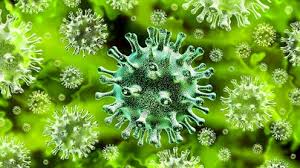How to prepare and protect yourself. A Single Vaccine To Beat All Coronaviruses Sounds Impossible But Scientists Are Already Working On One