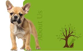 Check spelling or type a new query. About Hickory Grove Animal Hospital Veterinarian Charlotte Dr Sherry Huskey