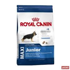 Royal Canin Maxi Puppy Buyuk Irk Yavru Kopek Mamasi 15kg Yavru Kopek Kopek Golden Retriever
