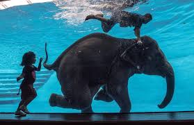 Mary Mintle (marymintle)