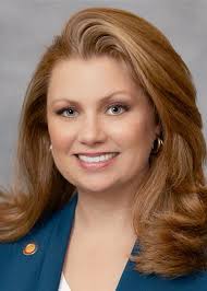 Passage of property tax relief bills seems unlikely despite bipartisan  support