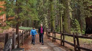 What guests are saying:read all 1 reviews. Naturally Outdoors At Sequoia And Kings Canyon National Parks