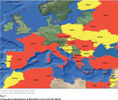 If my dog/cat becomes infected with west nile virus, does it pose a risk to the health of my family or other animals? Pdf West Nile Virus Epidemiology And Factors Triggering Change In Its Distribution In Europe Semantic Scholar