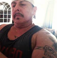 How to get rid of wasps?