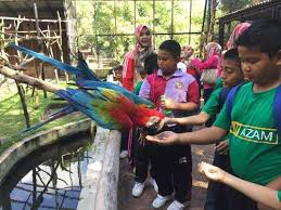 Namun ada mislabel spesimen di belanda, karena diambil di pulau jawa. Tempat Menarik Di Penang Panduan 2020 Percutian Bajet