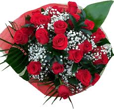 Check spelling or type a new query. Envio De Flores En Zamora