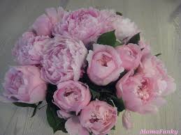 Résultat de recherche d'images pour "images pivoines roses"