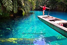 Tempat wisata alam ini dikelola oleh masyarakat sekitar bekerja sama dengan lembaga masyarakat labuan cermin yang menaunginya. Jangan Salah Timing Kalau Ke Labuan Cermin Ya