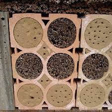 Tonrohren Mit Lehm Und Schilf Insektenhotel Wildbienen Insekten