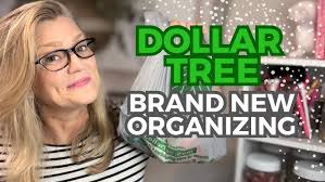 DOLLAR TREE CLOSET ORGANIZATION