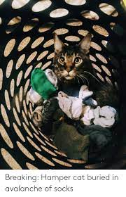 Breaking Hamper Cat Buried In Avalanche Of Socks Cat Meme On Me Me