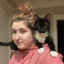 Best Cat Sitters in Chicago, IL