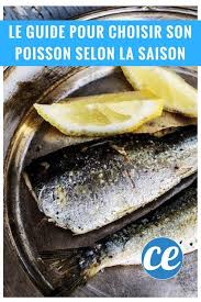 Le Guide Pour Bien Choisir Son Poisson Selon La Saison Avec Des Conseils Et Des Recettes Recettes De Cuisine Cuisine Poisson Poisson