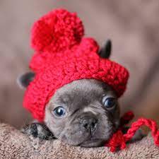 Pin On Wee Little Ones