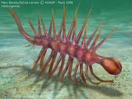 Pin On Burgess Shale