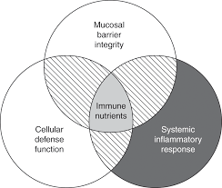 Oct 25, 2014 · burn injuries are one of the most common and devastating afflictions on the human body. Nutritional Support For Specific Conditions And Pathologies Section 4 Nutrition In Critical Care