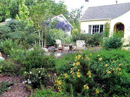 California Native Garden English Cottage Style Pasadena Ca By M Dolly Via Flickr California Native Garden Native Garden Habitat Garden
