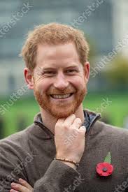 Prince Harry's Role in Supporting Wounded Veterans at NATO Headquarters