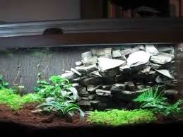 30 Gallon Vivarium W Real Rock Drip Wall Youtube Vivarium Ground Cover Plants