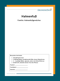 Herbarium deckblatt pdf zum ausdrucken ein herbarium deckblatt bzw eineherbarium vorlage zum ausdruckenist wenn zeit knapp wird anlage eines herbariums teil von herbarium vorlage blatt. Herbarium