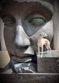 Misplaced anger towards responsible breeders