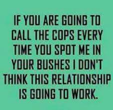 490 Funny - General ideas | funny, bones funny, humor