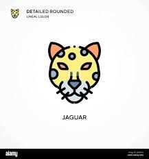 Jaguar panthera onca head portrait Cut Out Stock Images & Pictures - Alamy