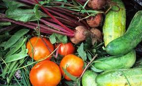 Les Aliments Qui Aident A Mieux Supporter Le Diabete