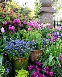 Maybe you would like to learn more about one of these? Fleur Aesthetic Planting Hydrangeas Bee Friendly Garden Garden Landscape Design