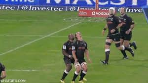 Funny Sports Gifs Funny Sports Pictures Sports Humor Football Jokes