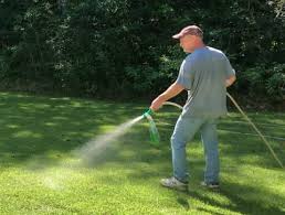 Is sunday lawn care worth the money? Sunday Lawn Care Real Hands On Review Results Must Read Thriving Yard