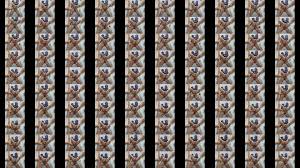 صــــــولا فــــــي دبــــــــي 👙🍓 (@private-sola) X - Ramo Mzago's sexy performer unveiled!