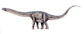 Hoy se celebran 11 años de la formalización y firma de las relaciones diplomáticas con mongolia. Argentinosaurus Huinculensis Dinosaur Art Dinosaur Pictures Prehistoric Creatures