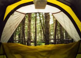 Maybe you would like to learn more about one of these? Camping To Be Allowed At 12 N J Parks Forests Other Areas Whyy