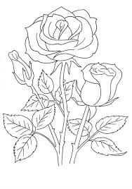 Desene cu flori din creion from lookaside.fbsbx.com copac. Desene Cu Trandafiri De Colorat Imagini È™i PlanÈ™e De Colorat Cu Trandafiri