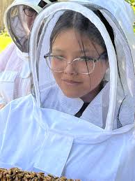 Old home remedies for bee sting swelling?