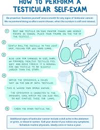 Testicular cancer is a relatively rare type of cancer that affects the testicles. For The Gents How To Test Yourself For Testicular Cancer The September Standard