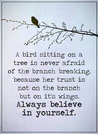 The bird is sitting on a branch at the (very) top of the tree. Quotes A Bird Sitting On A Tree Is Never Afraid Of The Branch Breaking Because Her Trust Is Not The Bra Words Quotes Me Quotes Inspirational Quotes Motivation