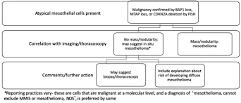 Segal a, sterrett gf, frost fa, et al. The Concept Of Mesothelioma In Situ With Consideration Of Its Potential Impact On Cytology Diagnosis Sciencedirect