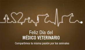 Check spelling or type a new query. Dia Del Medico Veterinario Pasion Dia Del Medico Veterinario Dia Del Veterinario Veterinario Medico