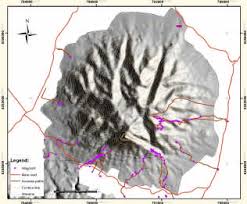 Image result for Ancylobothrys tayloris