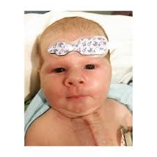 Jace Steven's Journey