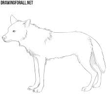40 easy illustrated animal sketch drawing ideas. How To Draw An Anime Animal