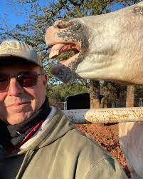 Deb Howry's Instagram, Twitter & Facebook