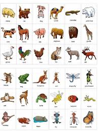 Learning Animals Names With Pictures Kartinki Domashnih Zhivotnyh Obrazovatelnye Tehnologii Anglijskie Idiomy
