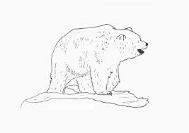 Brown bear characters coloring pages. Free Printable Bear Coloring Pages For Kids
